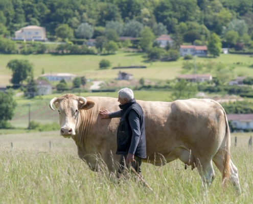 Valérie Jaubert - Tous droits réservés | Photographe Entreprise Montauban