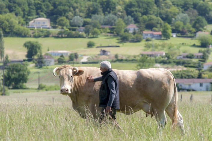 Valérie Jaubert - Tous droits réservés | Photographe Entreprise Montauban